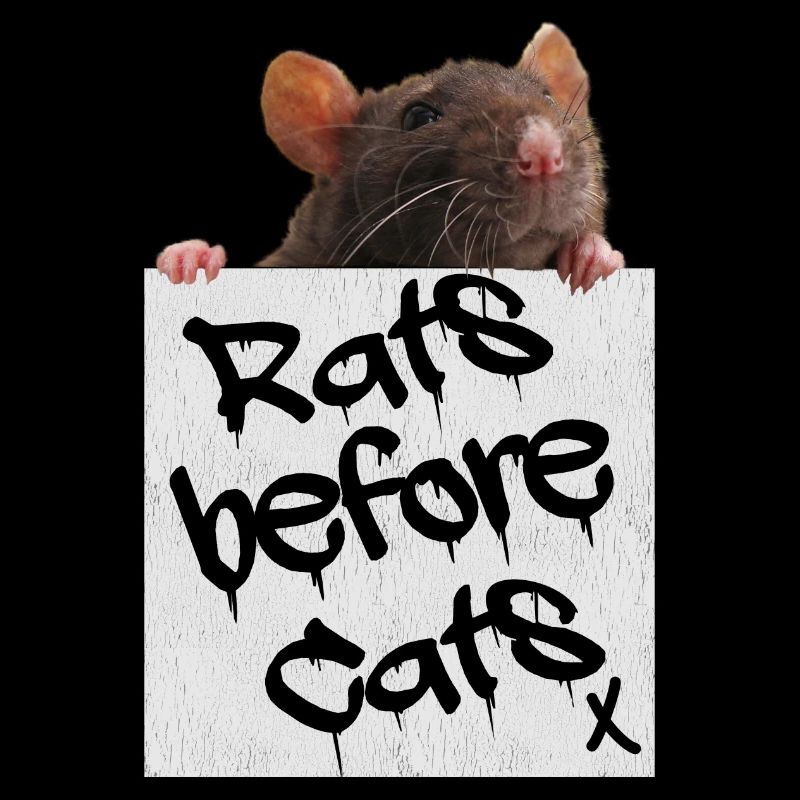 Ratte - Ratten vor Katzen