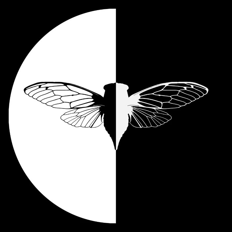BlackWhite Cicada
