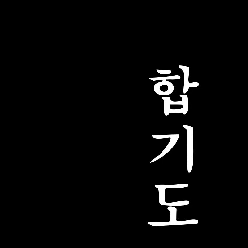 Hapkido Kick