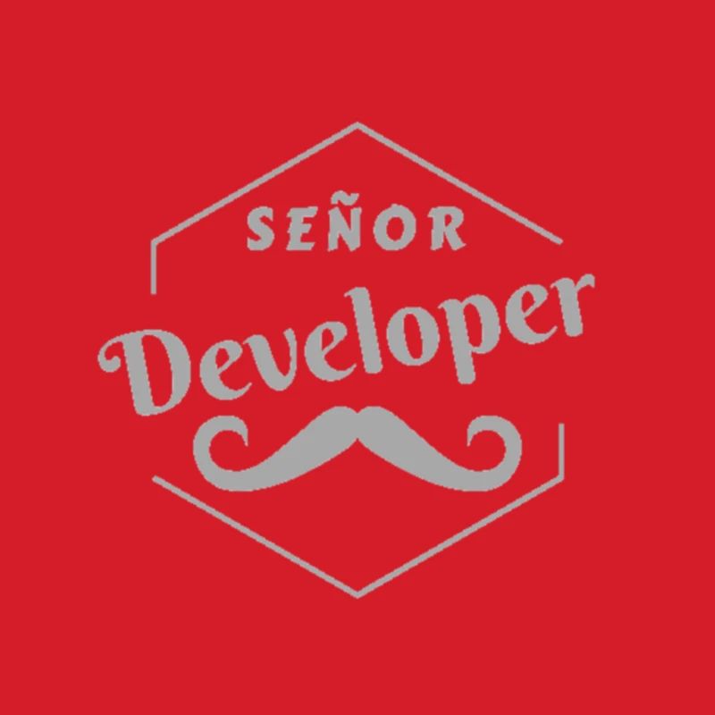 Senor Developer Developer Job