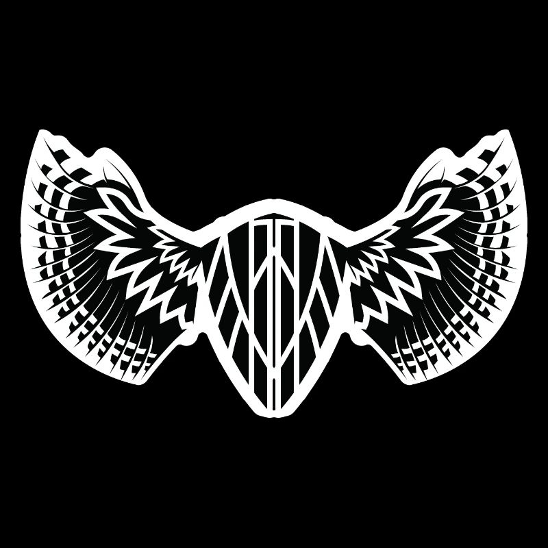 The Mystical Winged Ancient Shield