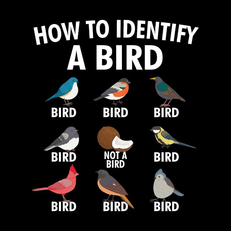Comment identifier un oiseau - Birdwatching Birder