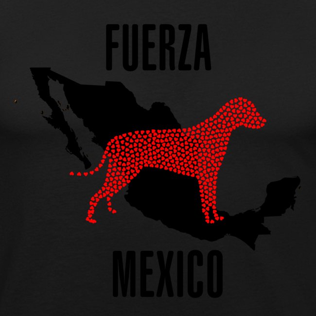 FUERZA MEXICO