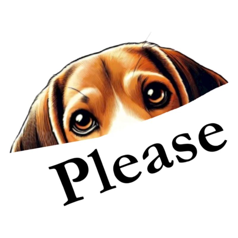 Beagle Please