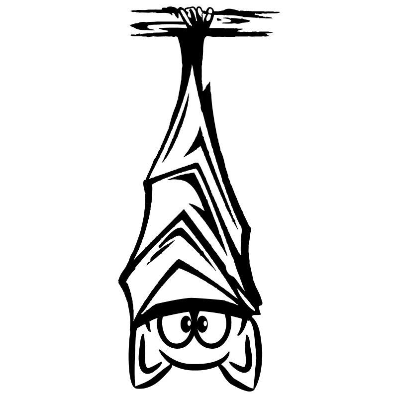 bat hanging