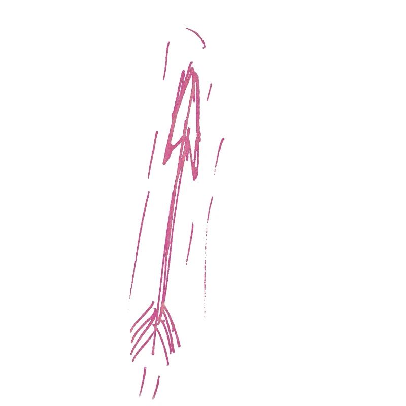 Flèche en rose