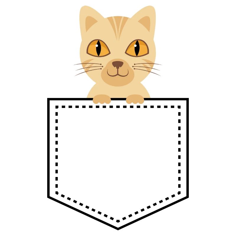 Pocket animal cat tabby