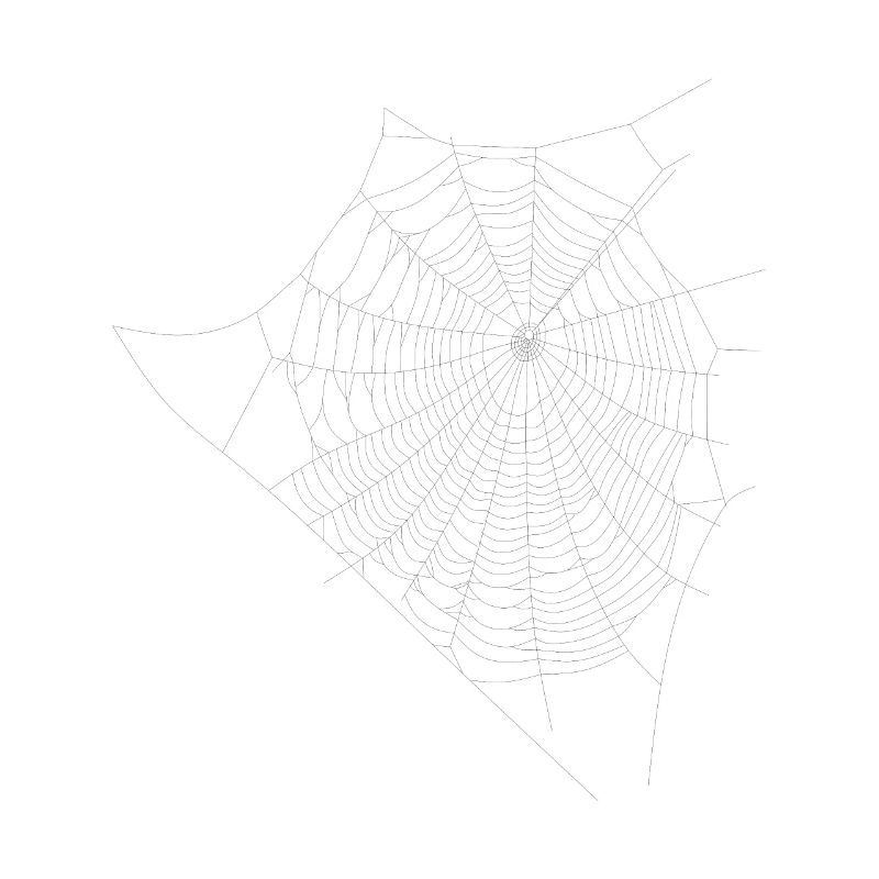 Spider web web