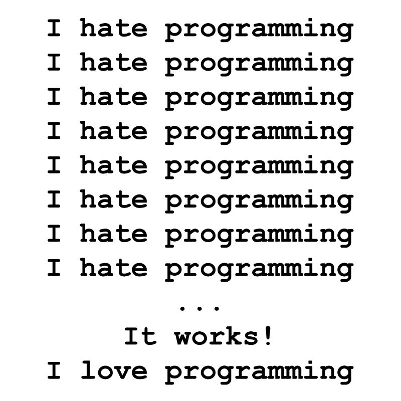 Developer computer scientist