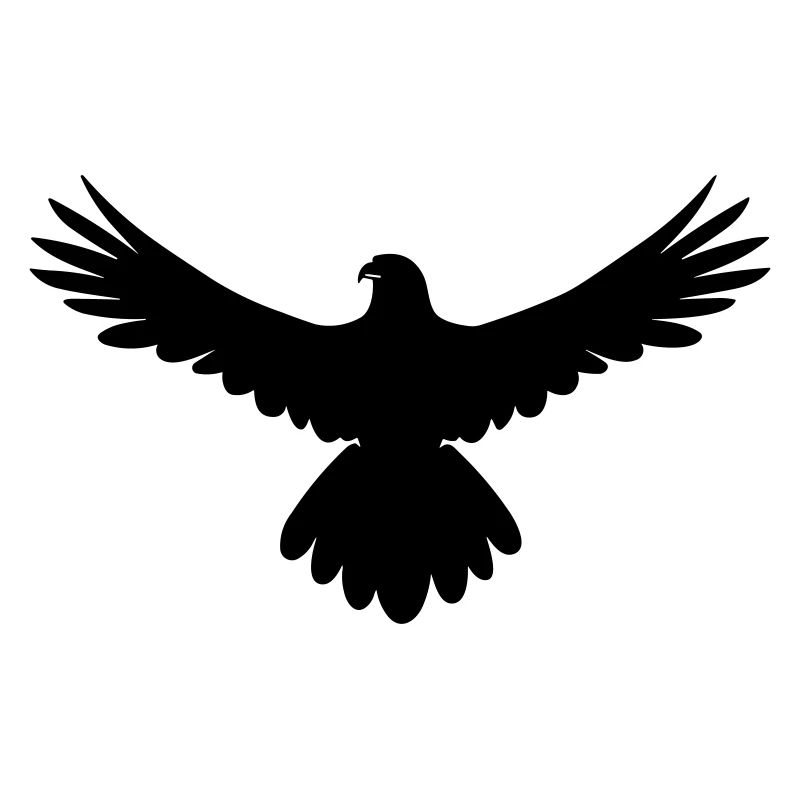 hawk