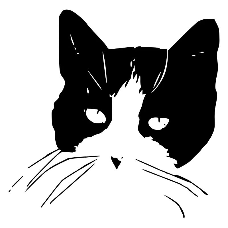 Katzengesicht