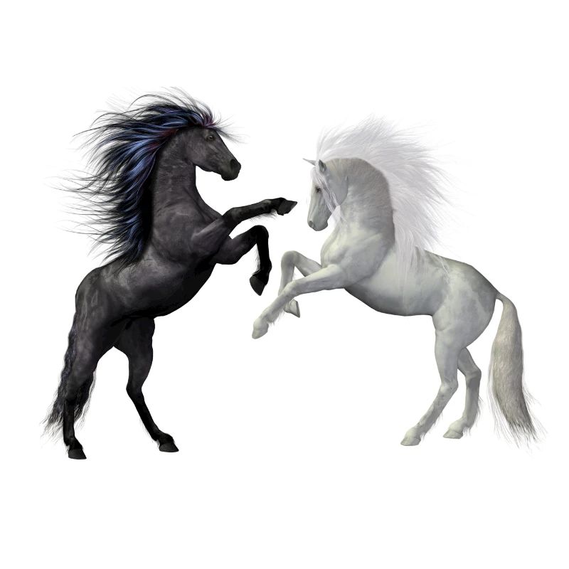 2 chevaux