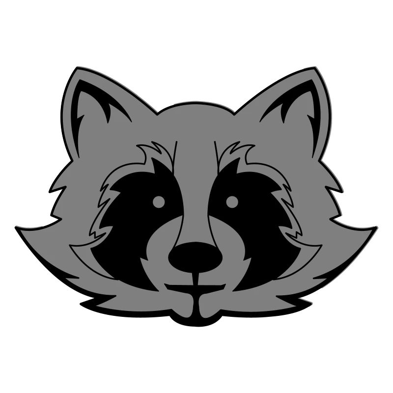 Raccoon Comic