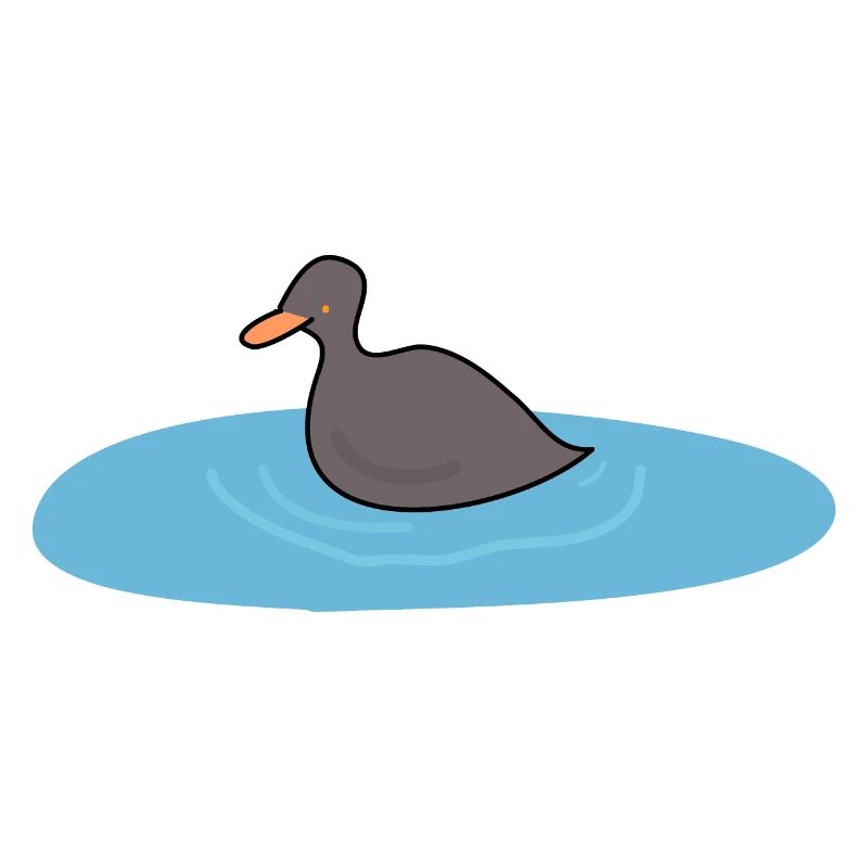 Duck bird 2