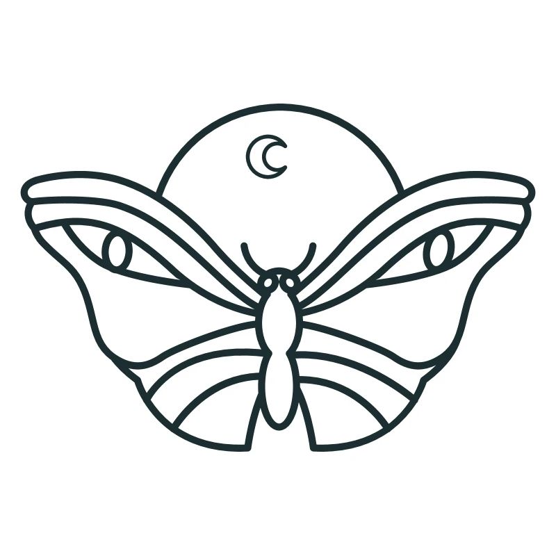 Night moon moth with eyes