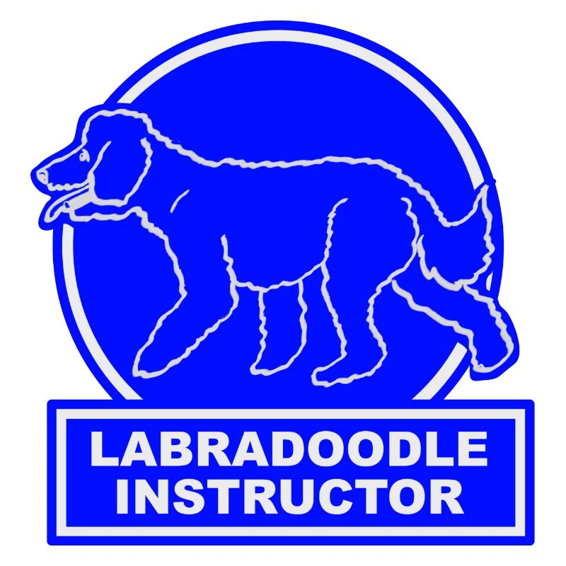 Labradoodle Instructor