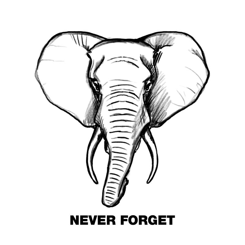 Elephant - Never forget