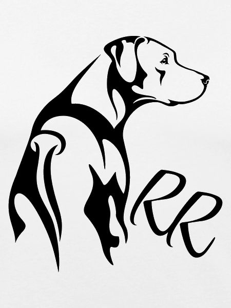 Rhodesian Ridgeback