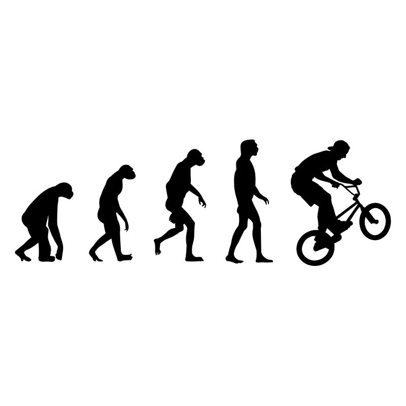 Evolution of BMX