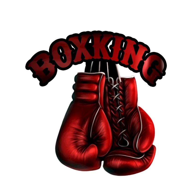 Boxking life