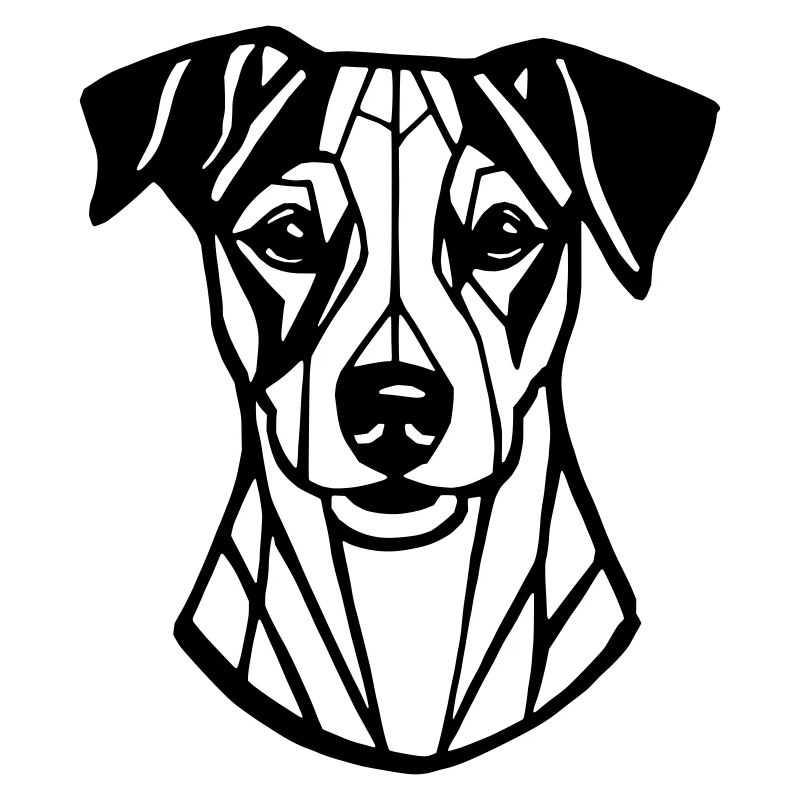 Jack Russel Hundekopf