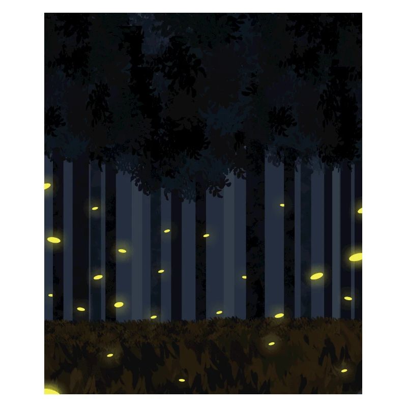 Forest firefly night