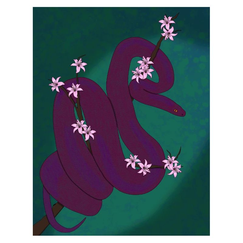 Plum Python (with background)