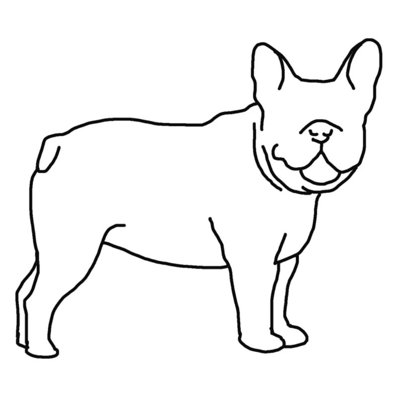 Frenchie