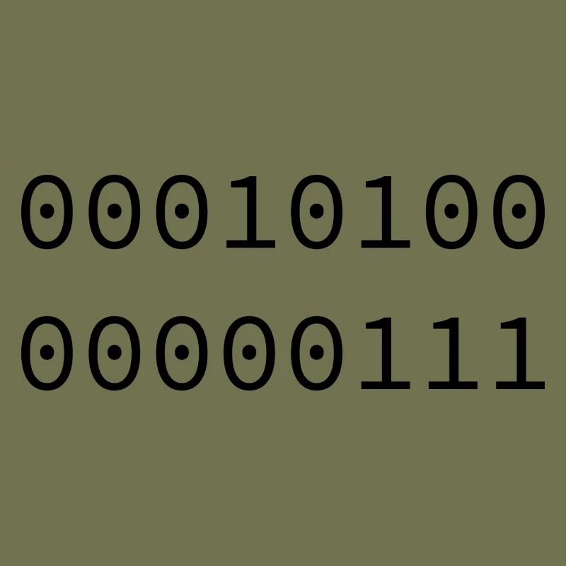 2007 Binary