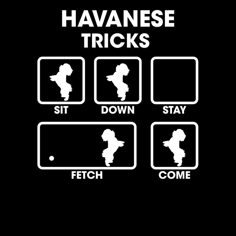 Havanese