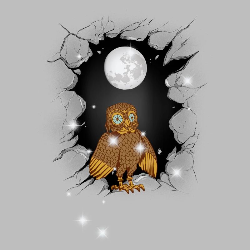 Eule Eulen Mond
