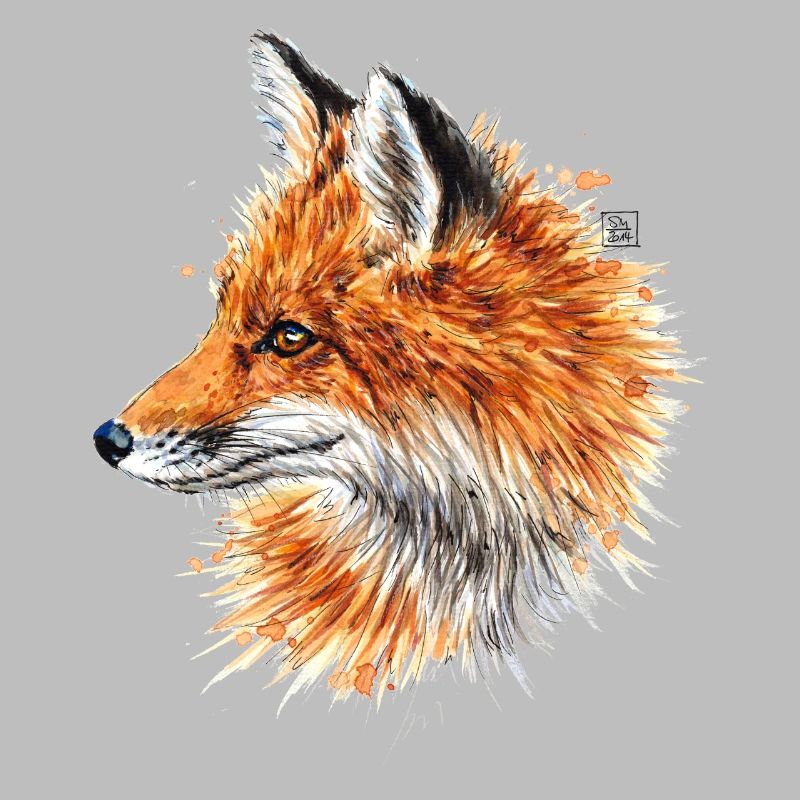 Fuchs | fox