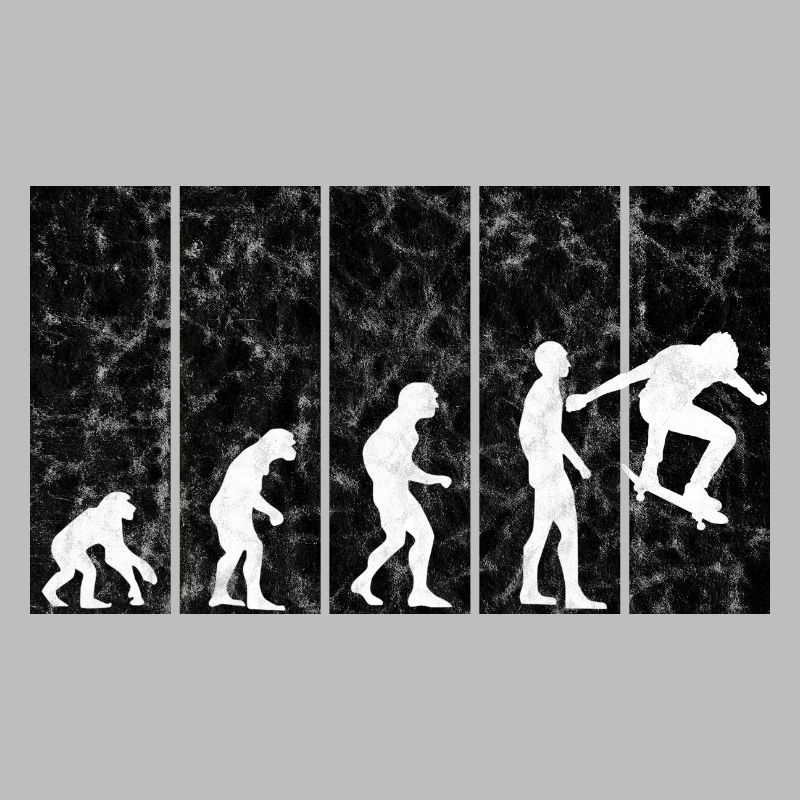 Skateboarder Skateboard Skater Skate Evolution