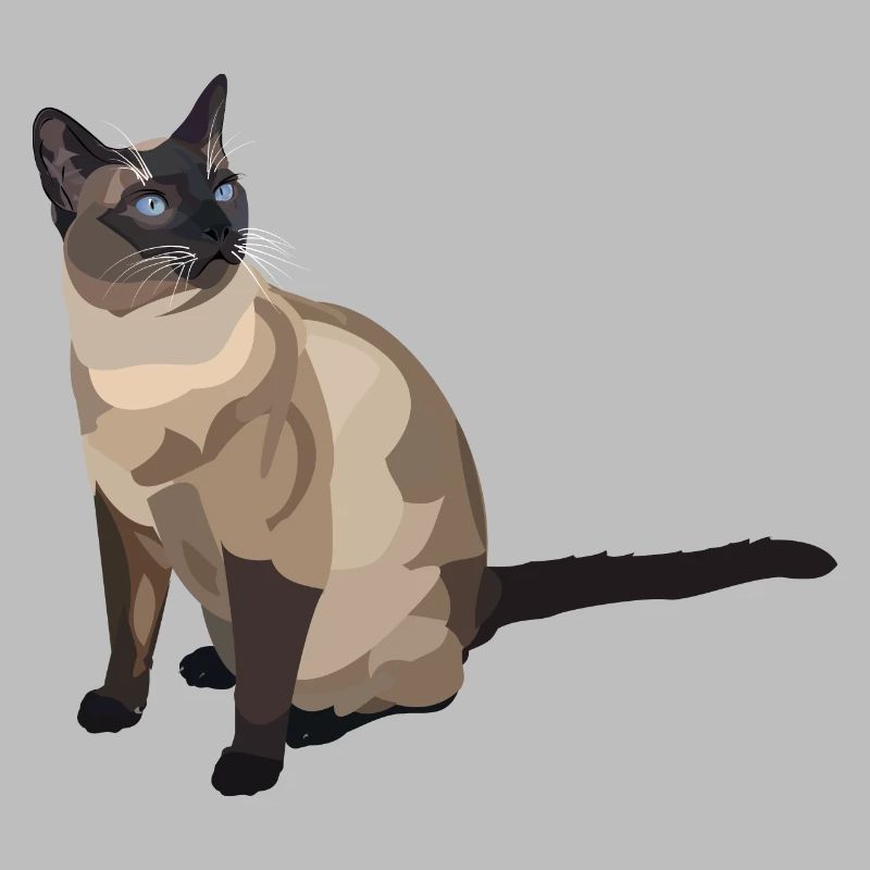 Katze Siam