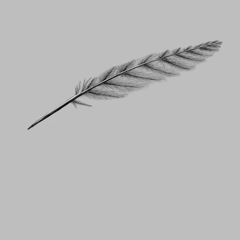 Plume bien sûr