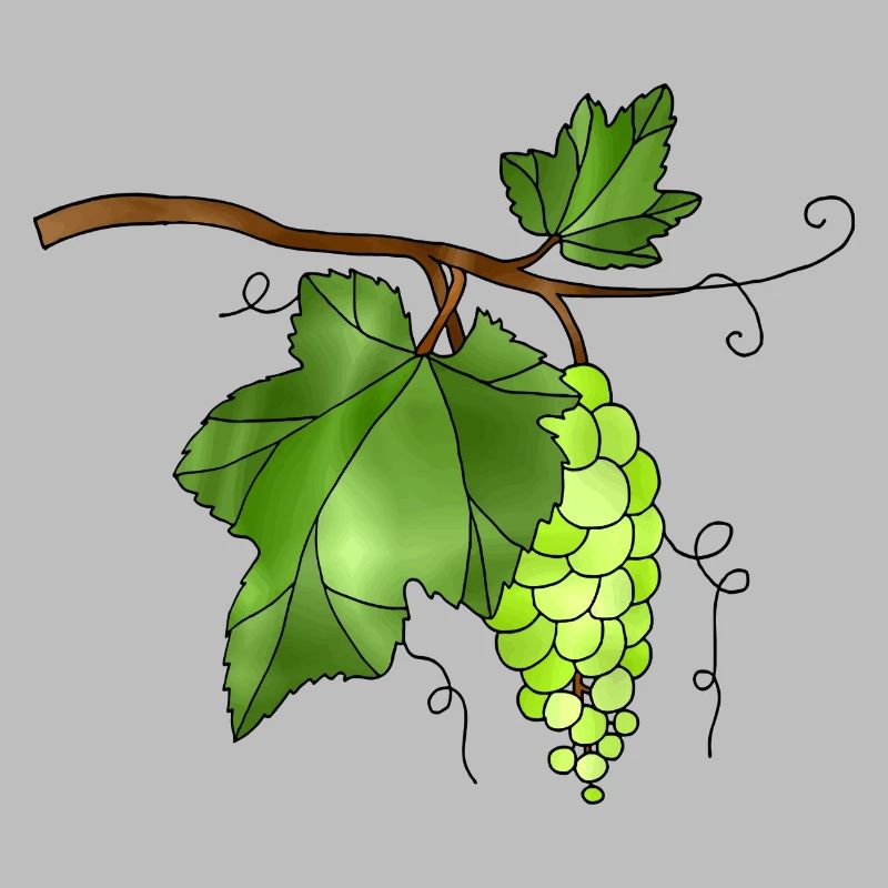 Les raisins