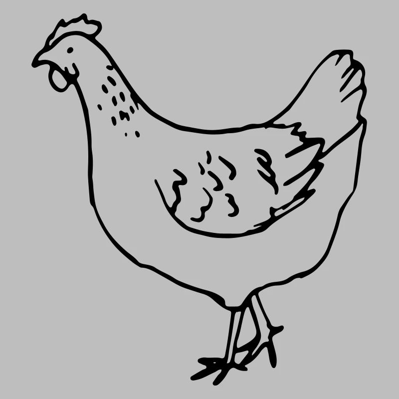 Huhn - Henne