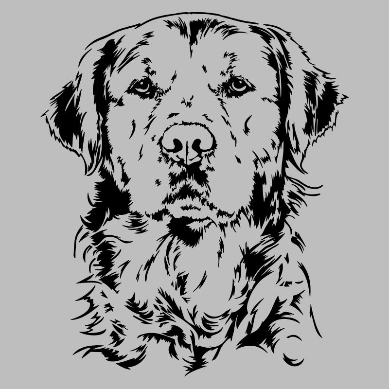 GULL RETRIEVER hundehunder wilsigns hundeportrett