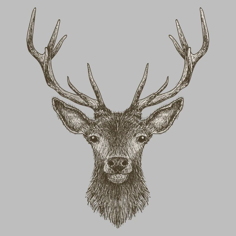 Hirsch Geweih