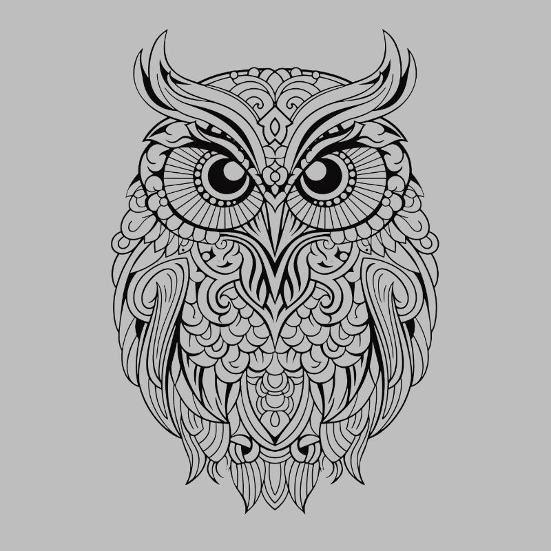 Mythical Magical Boho Owl with Patterns