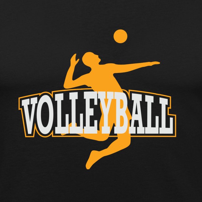 Volleyball Sport