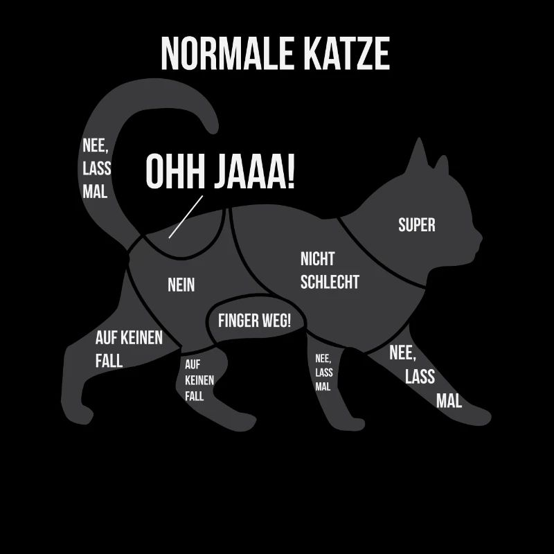 Funny Anatomie Einer Katze Perser Ragdoll Geschenk