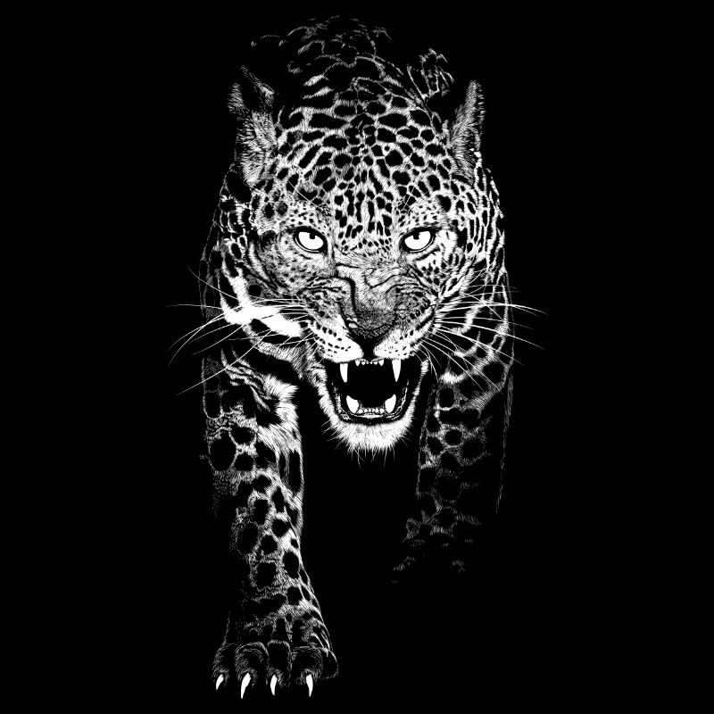 realistic leopard whole white