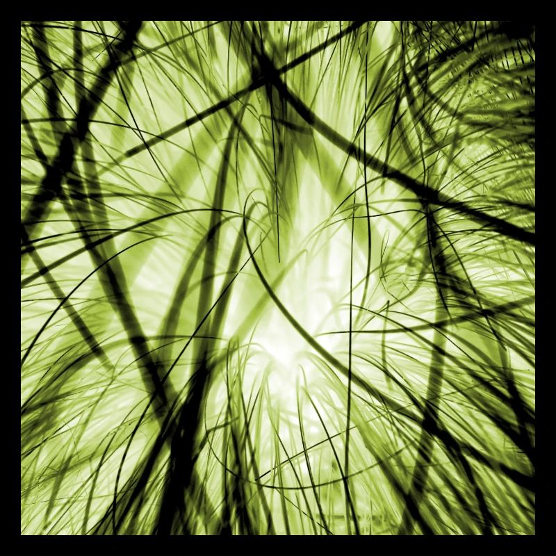 Cable clutter green