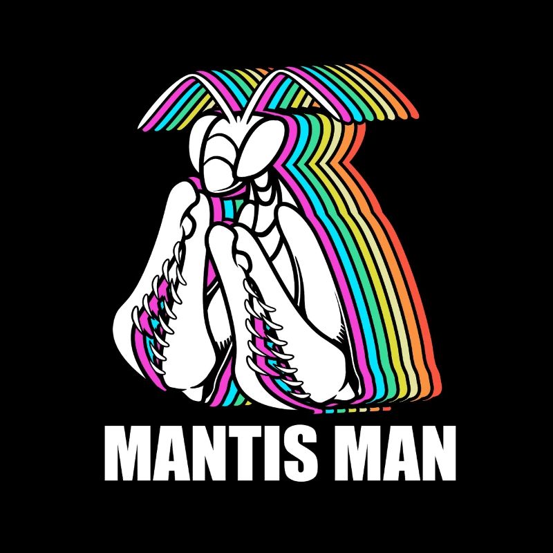 Gottesanbeter Gottesanbeterin Mantis