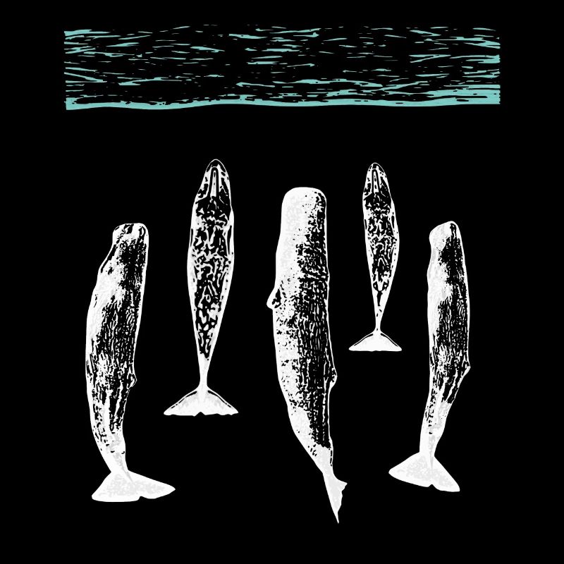 spermwhale plain white