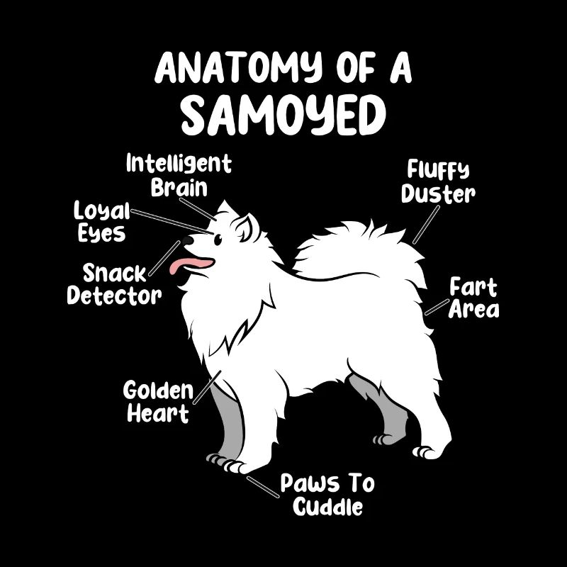 Cadeau de maître samoyède d'anatomie