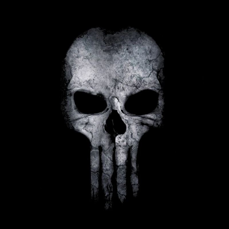 Skull Skull Bone Mask Cool Dead Gift