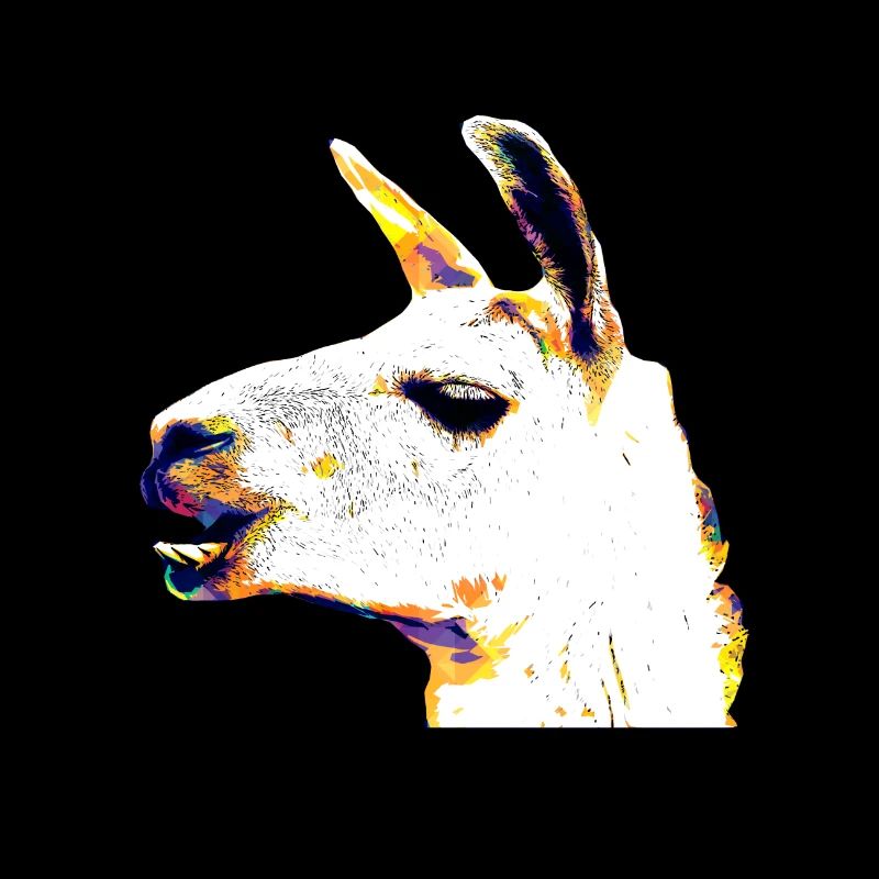 Tête de Lama