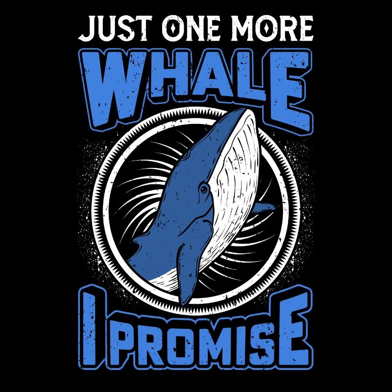 Observation des baleines Observation des baleines Orques Bleu Baleine